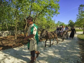 Casa per le vacanze Svetvinčenat Ambiente 26