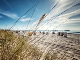 Der Großenbroder Südstrand