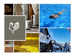 Holiday apartment Baiersbronn Outdoor Recording 2