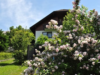 Ferienwohnung Baiersbronn Außenaufnahme 4