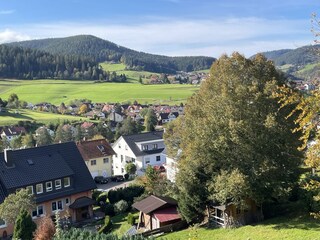 Holiday apartment Baiersbronn Outdoor Recording 6