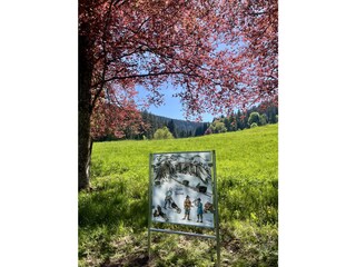 Wir sind ganz zur Gartenschau!