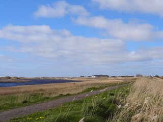 Appartamento per vacanze St. Peter-Ording Ambiente 17