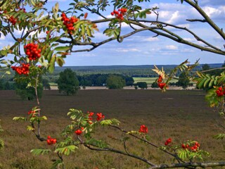 Blick vom Löns