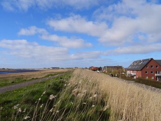 Appartamento per vacanze St. Peter-Ording Caratteristiche 17