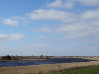 Vakantieappartement St. Peter-Ording Kenmerken 18