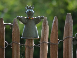 unser Zaunkönig