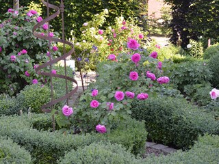 im Garten