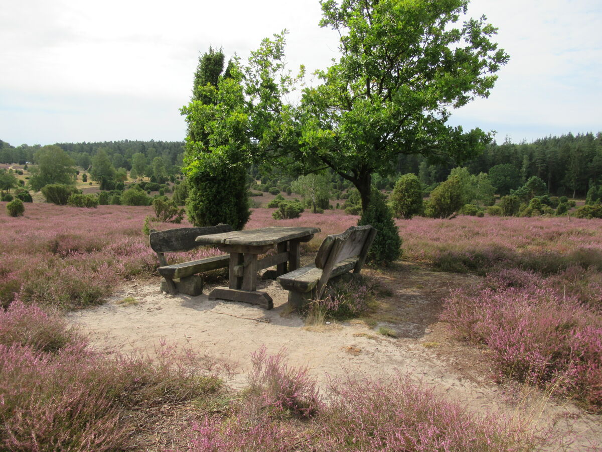 Bungalow Feldblick, Suderburg, Herr Dirk Potratz