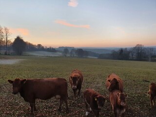 Casa per le vacanze Monschau Ambiente 23