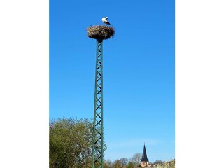 Vakantiehuis Ketzin Buitenaudio-opname 6