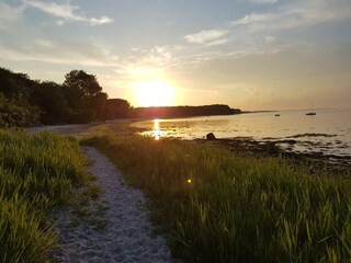 Strand in Ohrfeldhaff