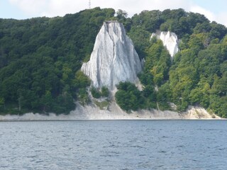Rügener Kreidefelsen