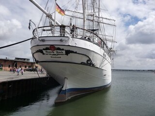 Rahensegler im Stadthafen Stralsund