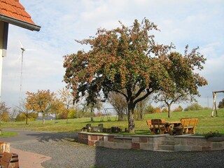 Sitzplätze unterm Apfelbaum