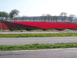 Casa per le vacanze Noordwijk Ambiente 17