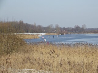 Casa per le vacanze Noordwijk Ambiente 19