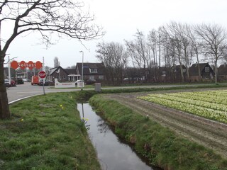 Casa per le vacanze Noordwijk Ambiente 20