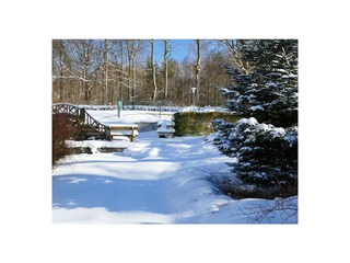 Garten im Schnee