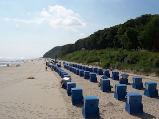 Traumhafter Ostseestrand