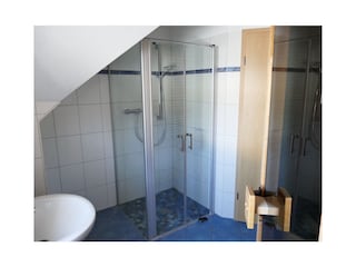 Badezimmer mit Dusche und Sauna