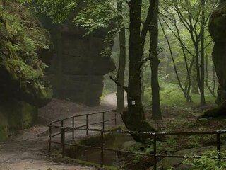 Appartamento per vacanze Altendorf (Sächsische Schweiz) Ambiente 14