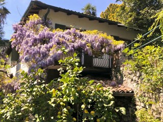 Holiday house Valsolda Outdoor Recording 10