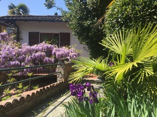 Casa de vacaciones Valsolda Grabación al aire libre 2