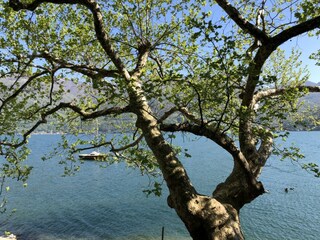 Vakantiehuis Valsolda Buitenaudio-opname 8