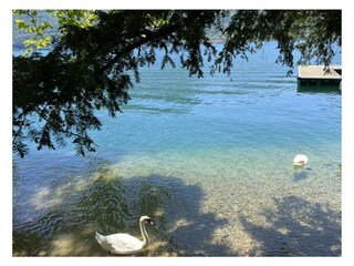 Holiday house Valsolda Outdoor Recording 18