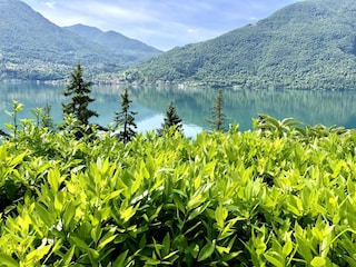 Casa per le vacanze Valsolda Ambiente 33