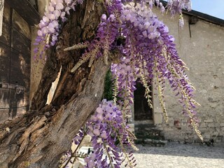 Casa per le vacanze Valsolda Ambiente 30