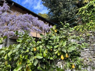 Casa per le vacanze Valsolda Registrazione all'aperto 22