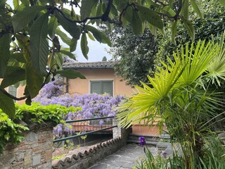 Casa per le vacanze Valsolda Registrazione all'aperto 2