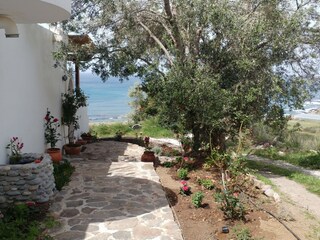 Path to the main entrance