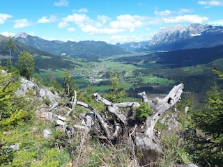 Chalet Bad Mitterndorf Environment 32