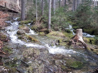 Chalet Bad Mitterndorf Environment 35