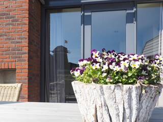 Holiday apartment Egmond aan den Hoef Outdoor Recording 35