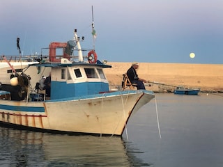 Casale Manduria Ambiente 23