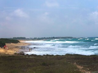 Casale Manduria Ambiente 24