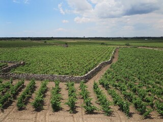 Casale Manduria Ambiente 26