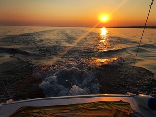 Casale Manduria Ambiente 34