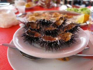 Casale Manduria Ambiente 40