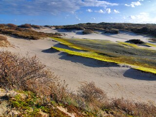 Vakantiehuis Brouwershaven Omgeving 16