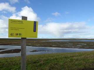 Naturgebiet am Oosterschelde