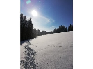 Rottachberg 20 min. von der Terrasse