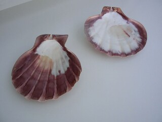 Casa per le vacanze Langeoog Caratteristiche 29