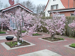 Casa per le vacanze Langeoog Registrazione all'aperto 10