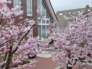 Casa per le vacanze Langeoog Registrazione all'aperto 11