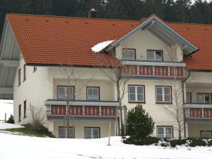 Holiday apartment house Schwärzler - Stiefenhofen - image1